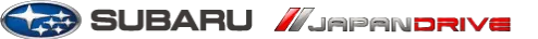 JapanDrive